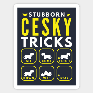 Stubborn Český Tricks - Dog Training Magnet